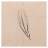 Soular Order - Harbour