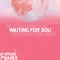 Waiting For You - D-Spade & pyaniX lyrics