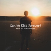 Can We Kiss Forever? artwork