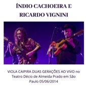 Violinha Fandangueira (Ao vivo) artwork