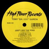 Peter Fontaine - Just Like the Wind (Radio Mix)