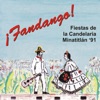 Fandango: Fiestas de la Candelaria Minatitlán 91