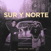 Sur y Norte artwork