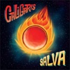 Voy a Volver by Los Caligaris iTunes Track 1