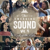 The Emerging Sound, Vol. 4 artwork