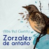 Zorzales de Antaño / Alba del Castillo