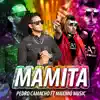 Mamita (bachata) [with Maximo Music] - Single album lyrics, reviews, download