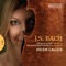 Suite No. 1 in G major, BWV 1007: V. Menuet I & II artwork