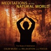 Meditations in the Natural World: Calm Music for Relaxation and Focus