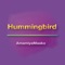 Hummingbird - AmamiyaMaako lyrics