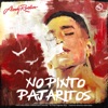 No Pinto Pajaritos - Single