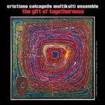 Cristiano Calcagnile Multikulti Ensemble - Togetherness