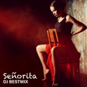 Señorita (Ringtone Version) - DJ BestMix