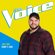 Danny's Song (The Voice Performance) - Jake Hoot
