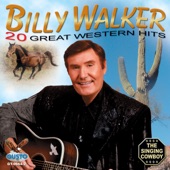 20 Great Western Hits artwork