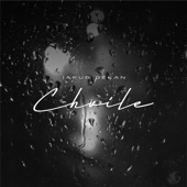 Chvíle artwork