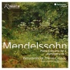 Freiburger Barockorchester, Gottfried von der Goltz & Petra Müllejans - Symphony No. 1 in C Minor, Op. 11: III. Menuetto. Allegro molto - Trio