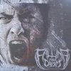 Collapse - Single