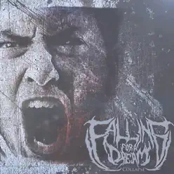 Collapse - Single - Falling For A Dream