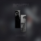 Bonita artwork