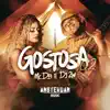 Stream & download Gostosa 2 - Single