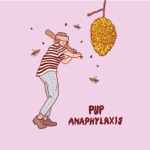 PUP - Anaphylaxis