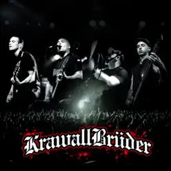 15 Jahre (Live in Berlin) - Krawallbrüder