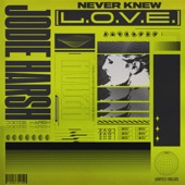 Never Knew (L.O.V.E.) artwork