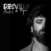 Desvelo artwork