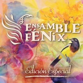 Ensamble Fénix - El Alcaraván (feat. Rafael El Pollo Brito)