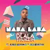 Naba Laba (feat. Dladla Mshunqisi & Zulu Mkhathini) song lyrics