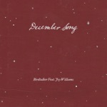 Birdtalker - December Song (feat. Joy Williams)