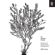 Will Larson - An Elegant Puzzle: Systems of Engineering Management (Unabridged)