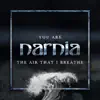 You Are the Air That I Breathe - Single album lyrics, reviews, download