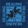 Healing (ft. Jessie Reyez) by SonReal iTunes Track 2