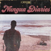 Nungua Diaries - EP artwork