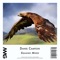 Squawk - Daniel Campioni lyrics