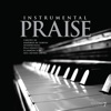 Instrumental Praise 7, 2008