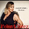 Alaçatı Çeşme (Mu Kıtası) - Single