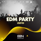 EDM Party 2019 artwork