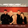 Liedboek Remixes, 2003