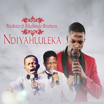 Basheshe Bahleka (live) - Nkabinde Brothers 