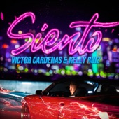 Siento artwork