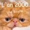L'an 2000 - Une Bouille lyrics