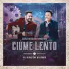 Ciúme Lento (Ao Vivo em Goiânia) - Single album lyrics, reviews, download