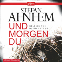 Stefan Ahnhem & Katrin Frey - Und morgen du artwork