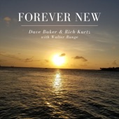 Forever New (feat. Rich Kurtz) artwork