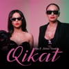 Qikat (feat. Adelina Ismajli) - Single