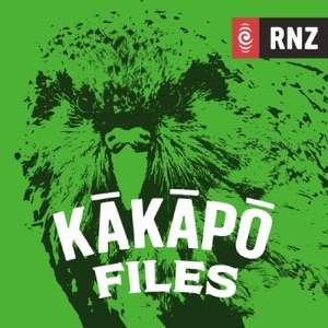 Kākāpō chicks growing up
