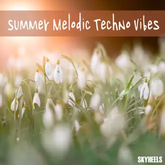 Summer Melodic Techno Vibes by Various Artists album reviews, ratings, credits